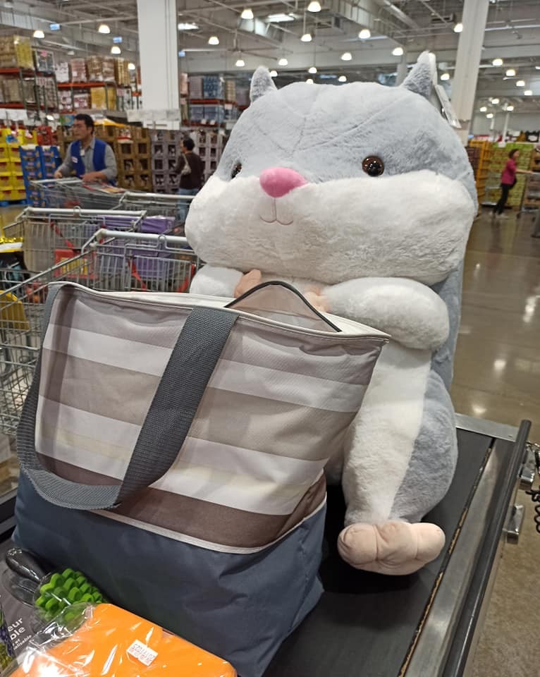 Costco好市多 商品經驗老實說