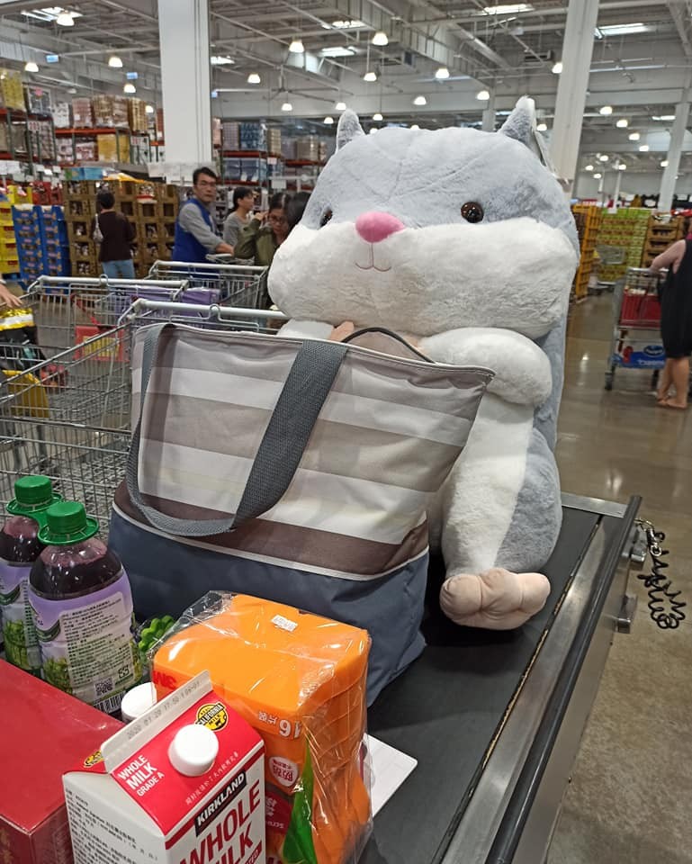 Costco好市多 商品經驗老實說