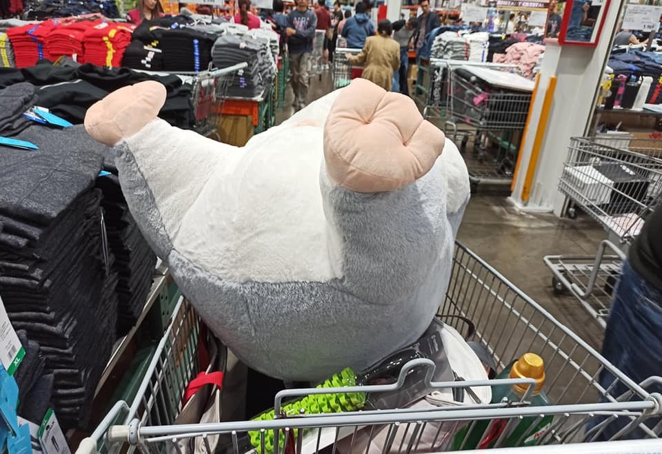 Costco好市多 商品經驗老實說