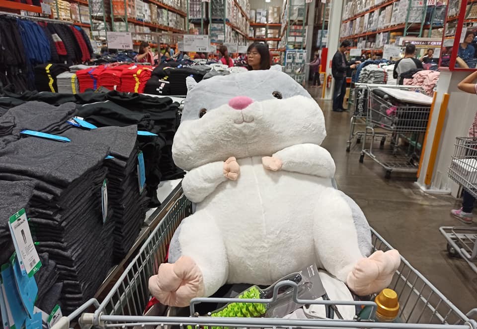 Costco好市多 商品經驗老實說