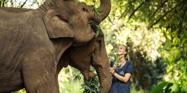 anantara