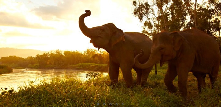 anantara
