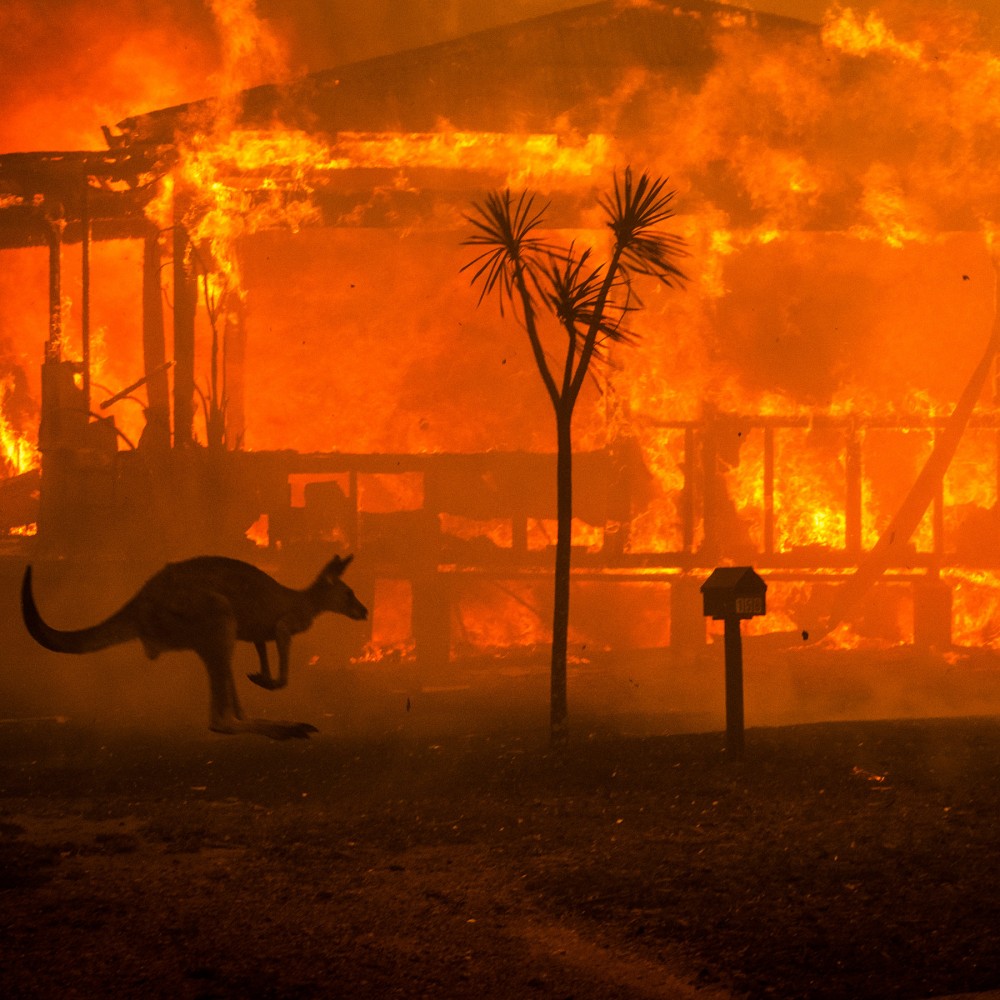 《The New York Times》