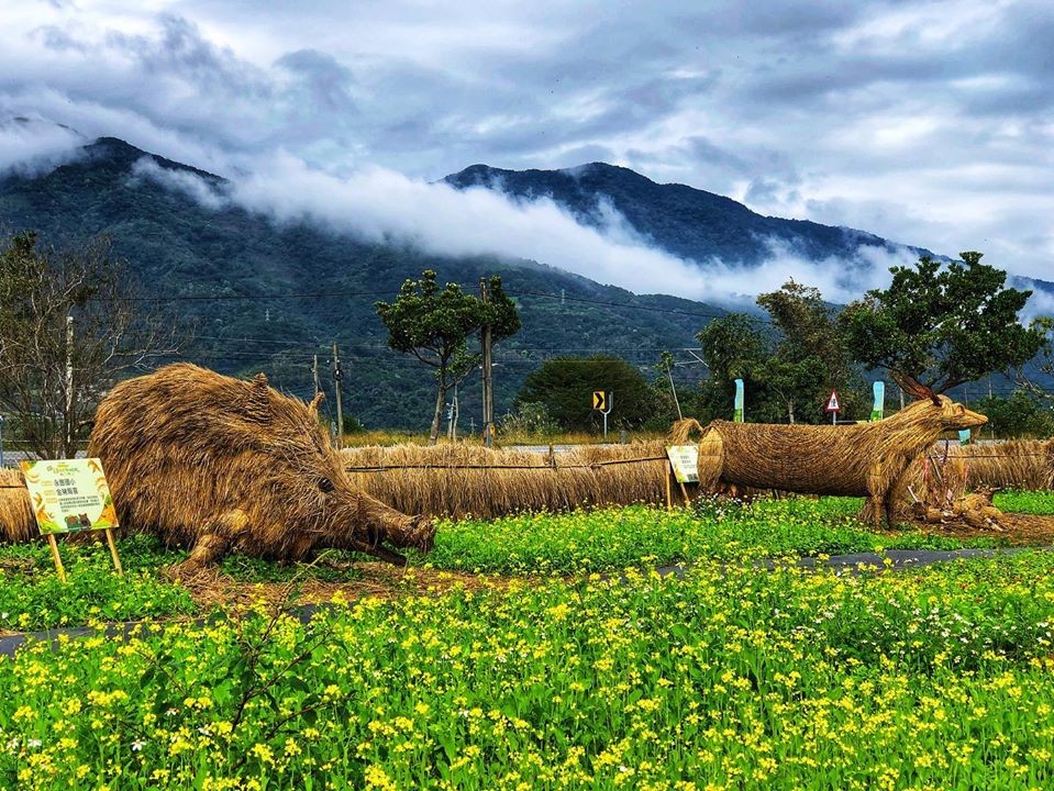 FB@花蓮縣富里鄉農會
