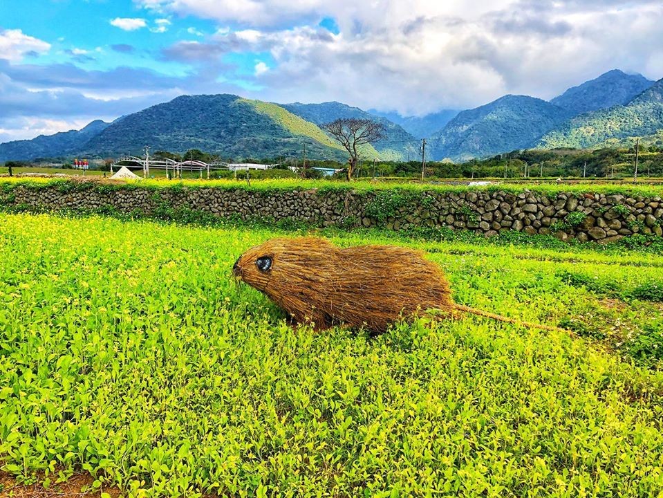 FB@花蓮縣富里鄉農會