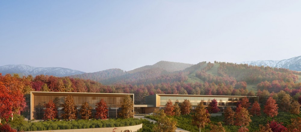 北海道二世谷AMAN飯店景致