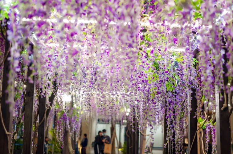 Mitsui Outlet Park 林口