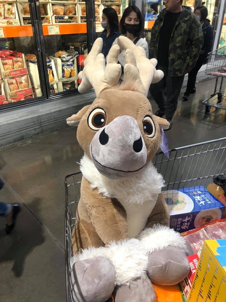 FB@Costco好市多 商品經驗老實說