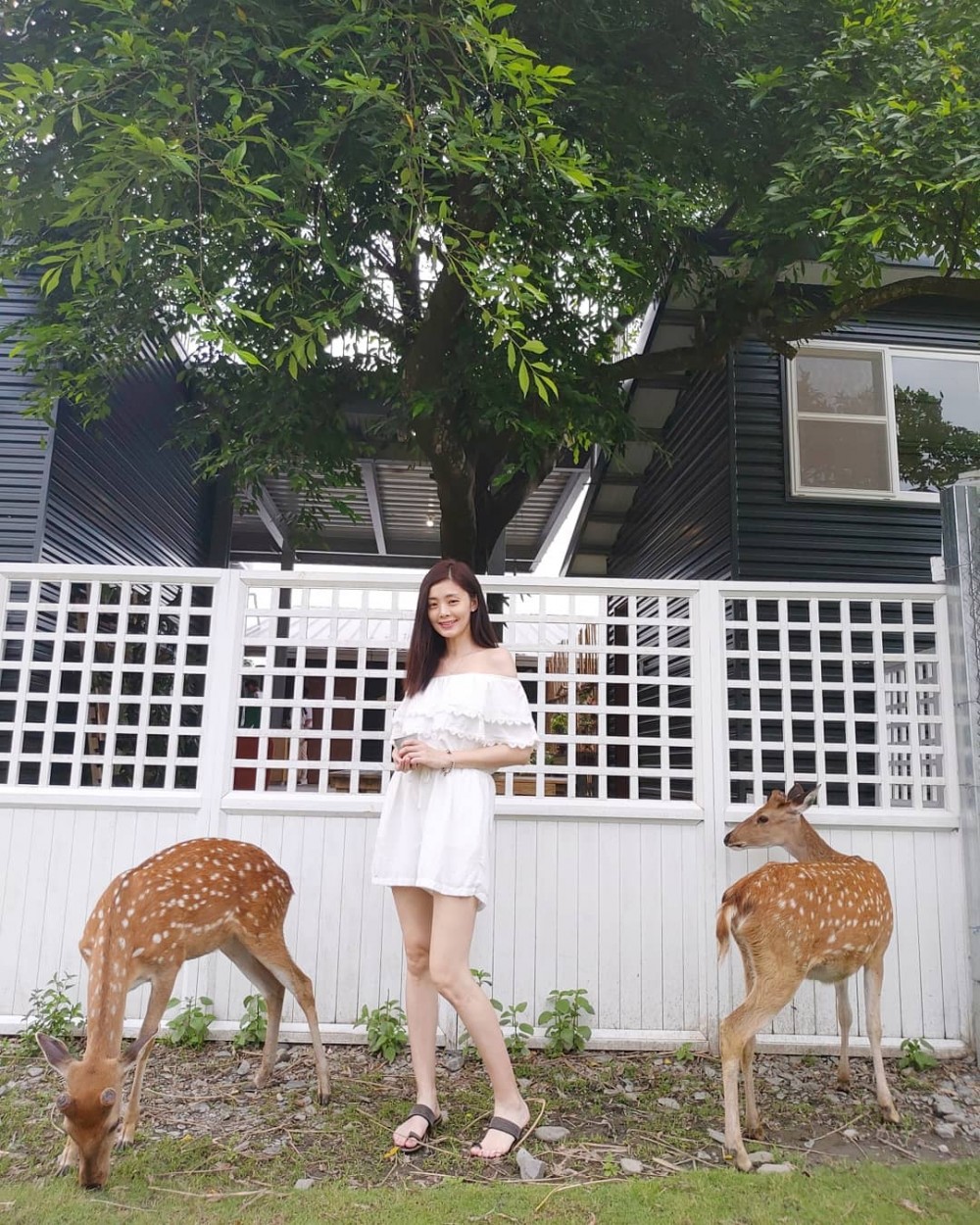 IG@cherryhsia