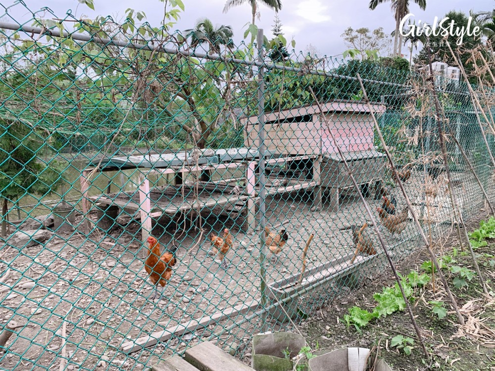 宜蘭雷院子民宿雞舍