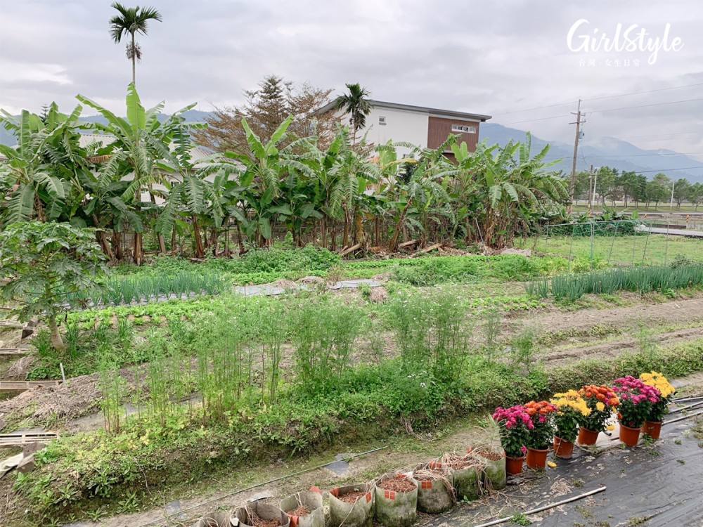 宜蘭雷院子民宿菜園