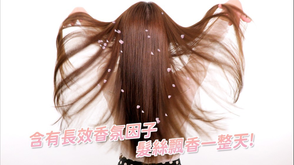 90225902_659461724598172_6572026486662889472_n - 複製