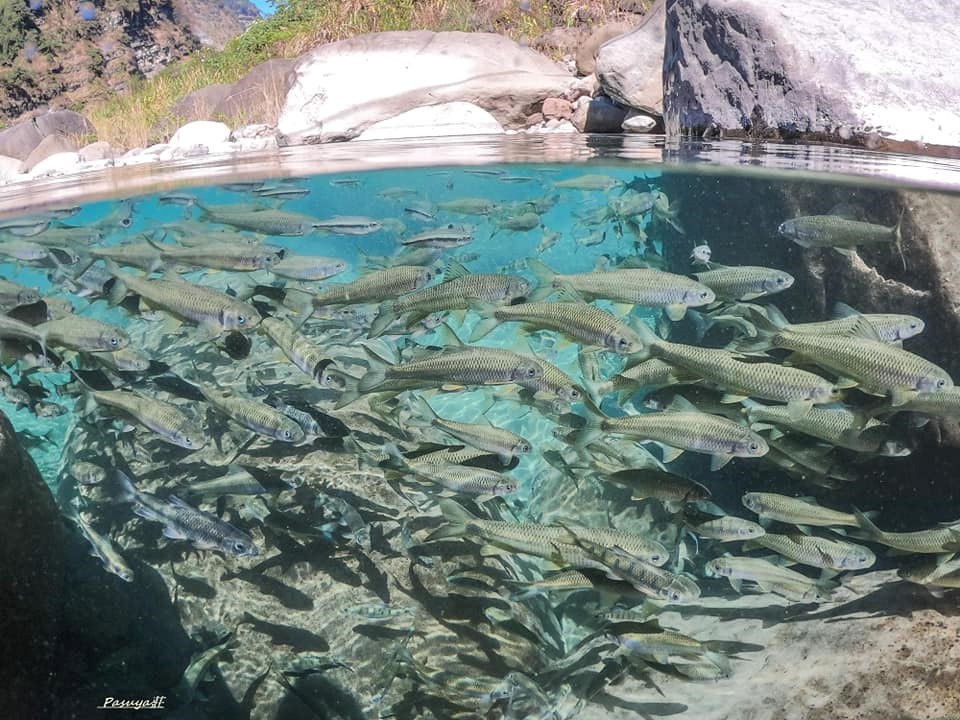 FB@山美社區發展協會