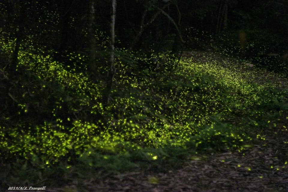 FB@山美社區發展協會