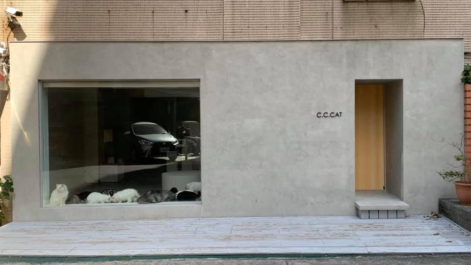 Co Caine Cat Lounge 吸吸貓