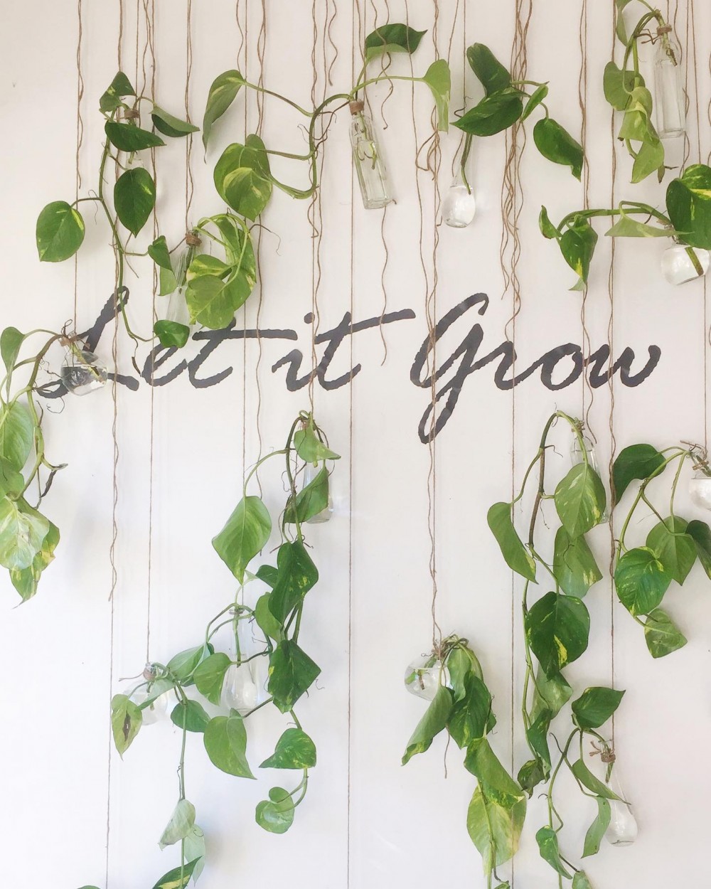 wildfloradesign.com