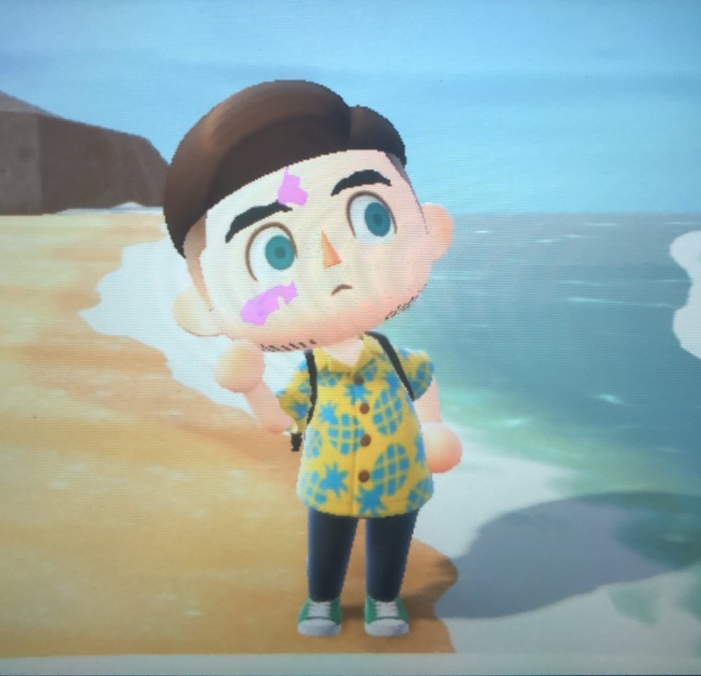 《動物森友會》