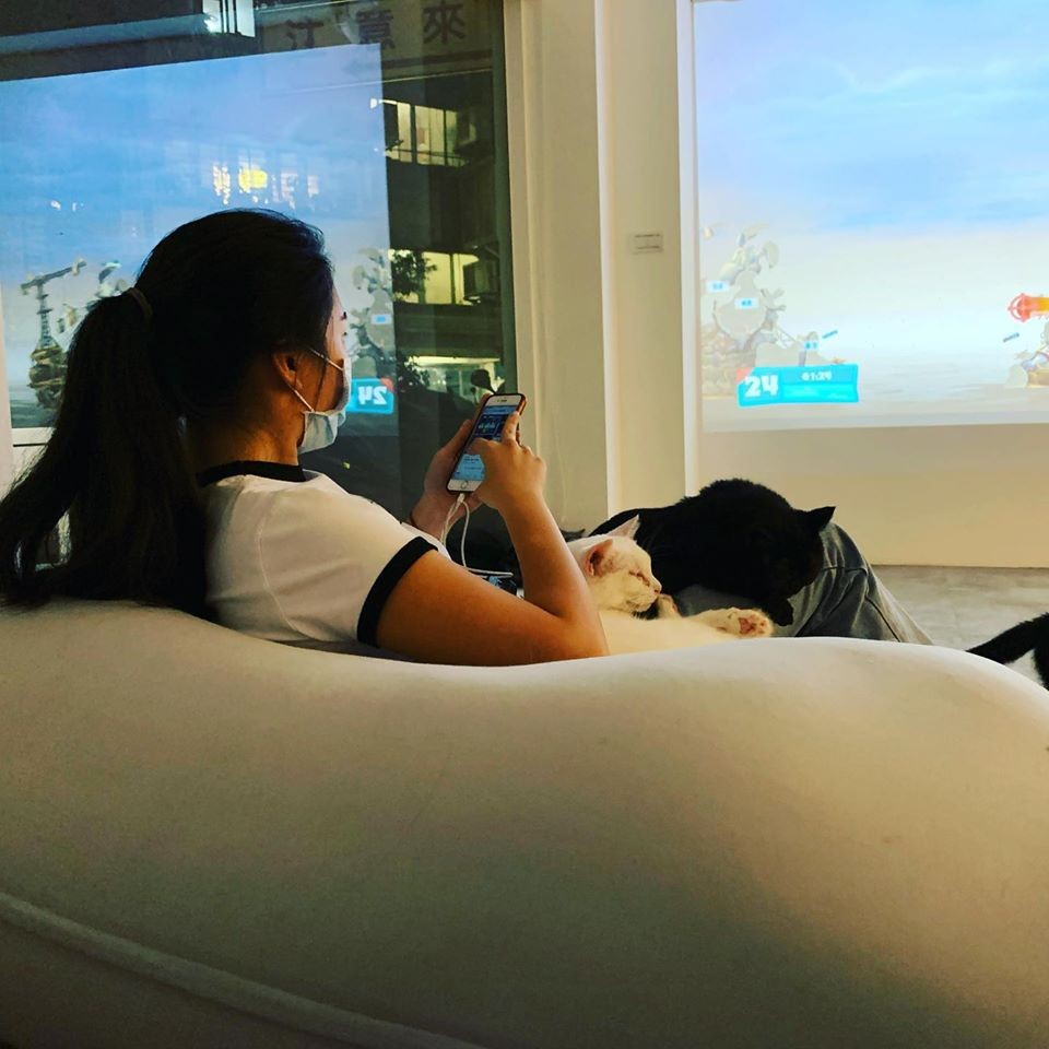 Co Caine Cat Lounge 吸吸貓