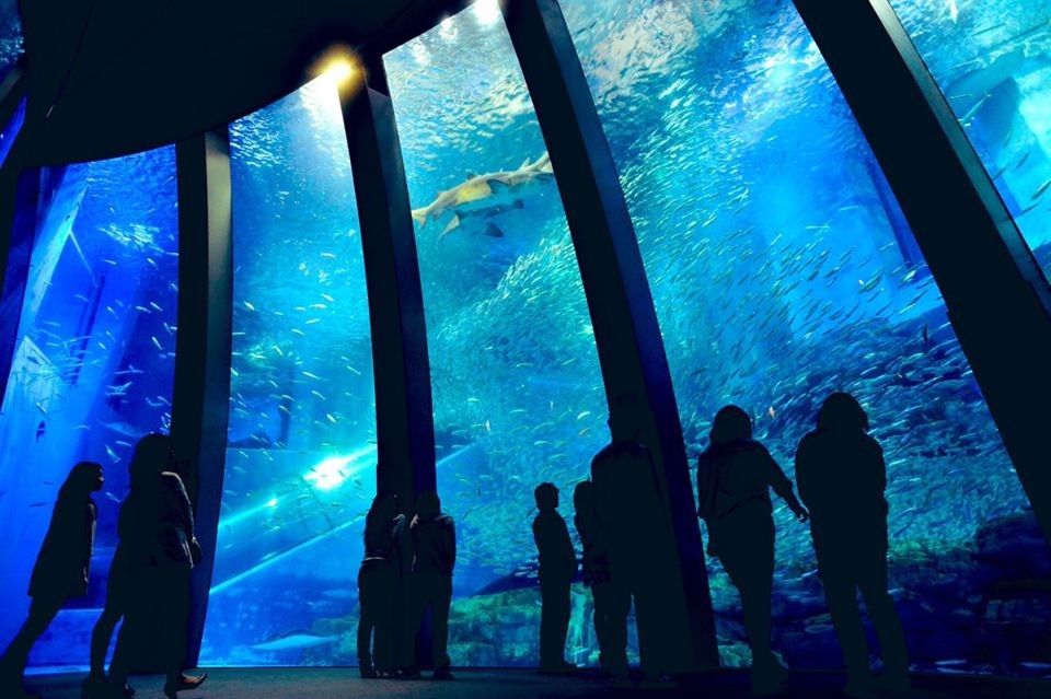 FB@横浜・八景島シーパラダイス