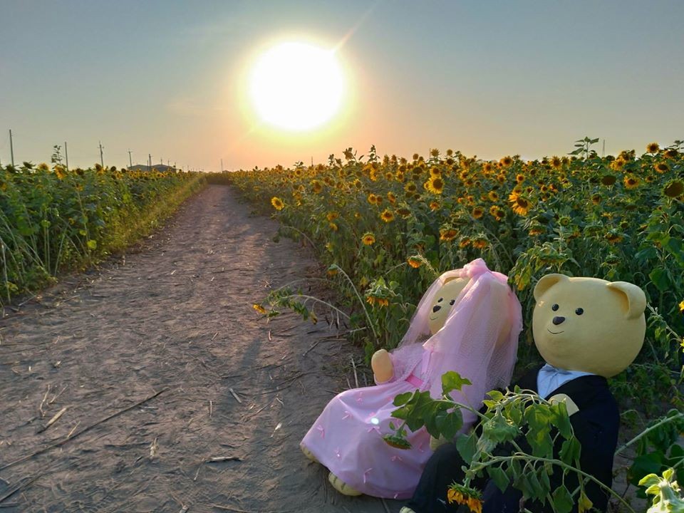 FB@臺南市新營區公所