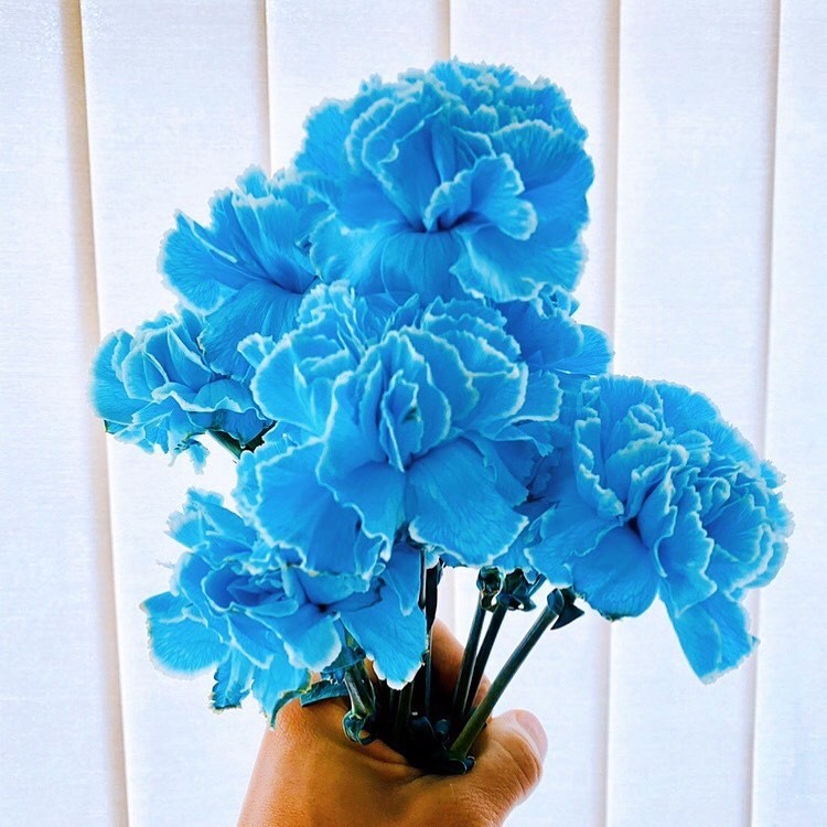 IG@takuya.kimura_tak