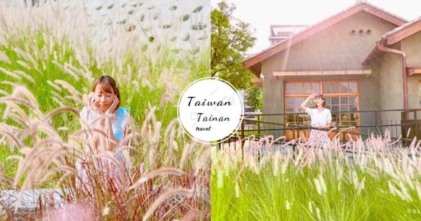 【台南景點】免出國也能看到!「粉嫩色狼尾草」整片超浪漫~搭上園區復古建築,怎麼拍都超美♡