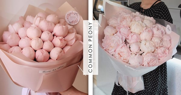 【情人節花束】代表思念、富貴、美麗！韓妞熱議「花中皇后」芍藥花