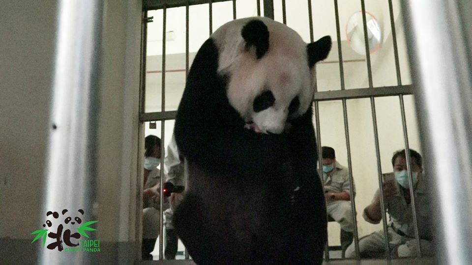 FB@ Taipei Zoo 臺北市立動物園