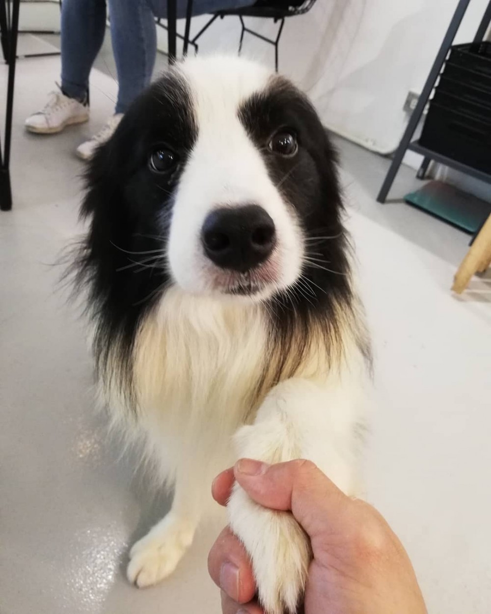 IG@9000km_raccoon_coffee