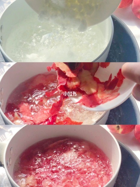 小紅書＠Chancy橙子心