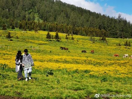 Weibo@向佐JackyHeung