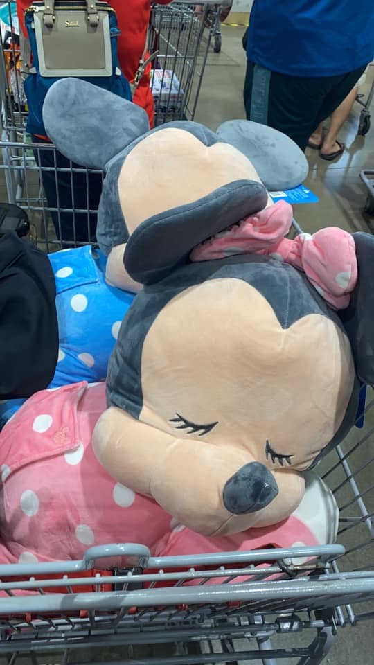 Costco好市多 商品經驗老實說