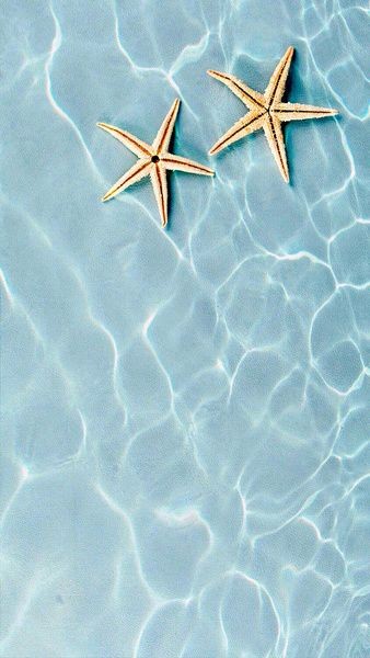 Pinterest