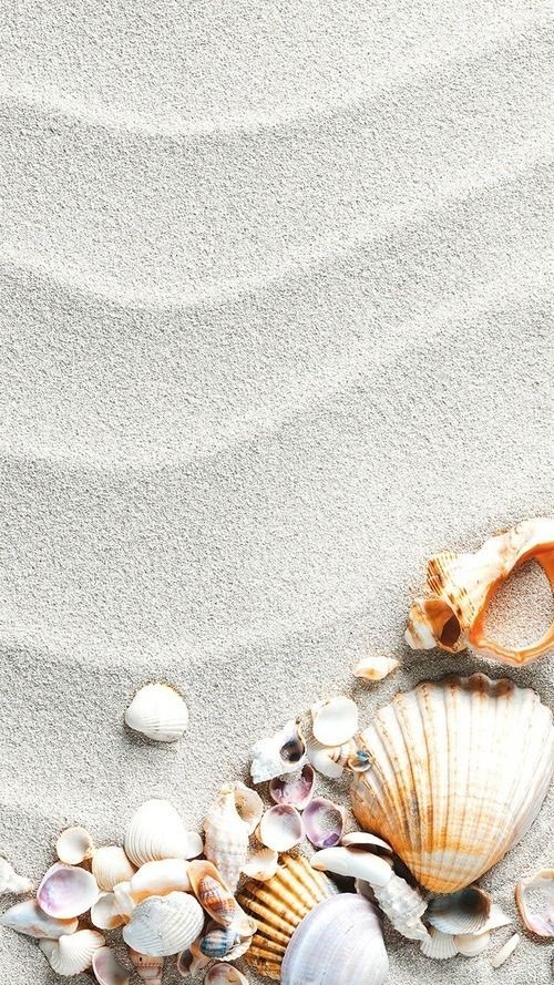 Pinterest