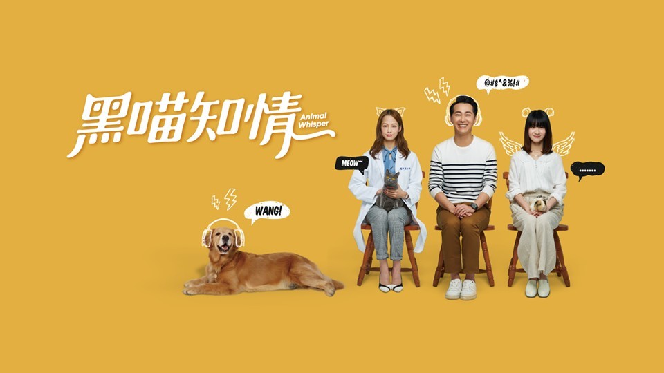 FB@黑喵知情