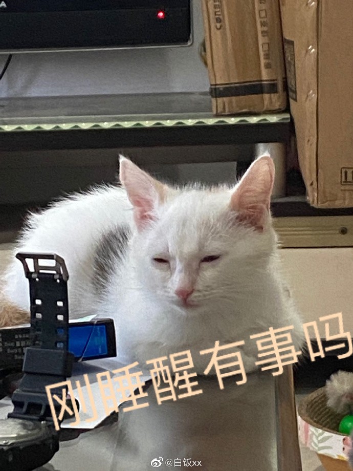 Weibo@白飯XX