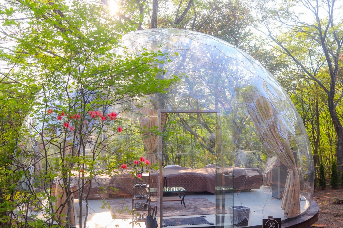 Twitter@hotel_yohaku