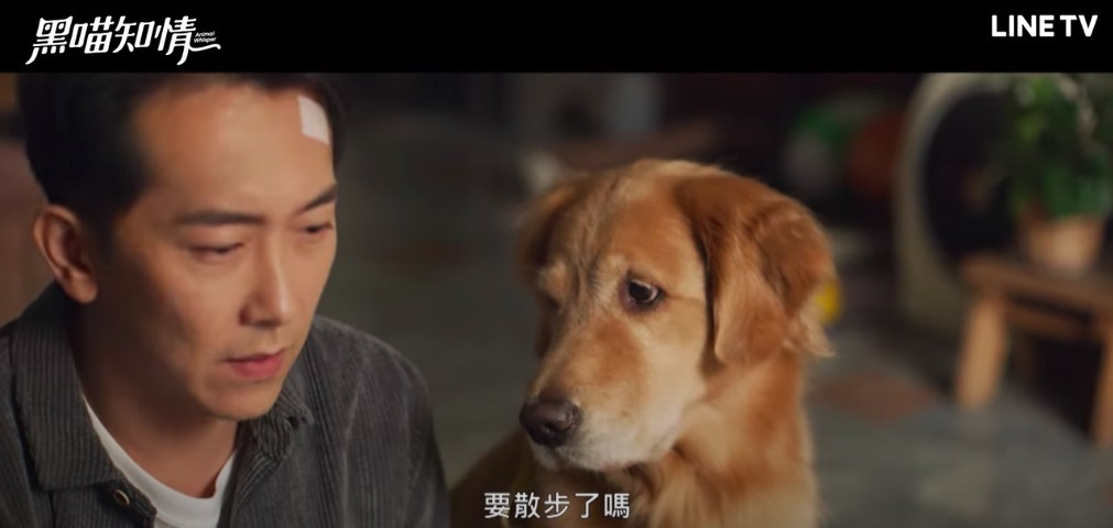 Youtube@LINE TV 共享追劇生活