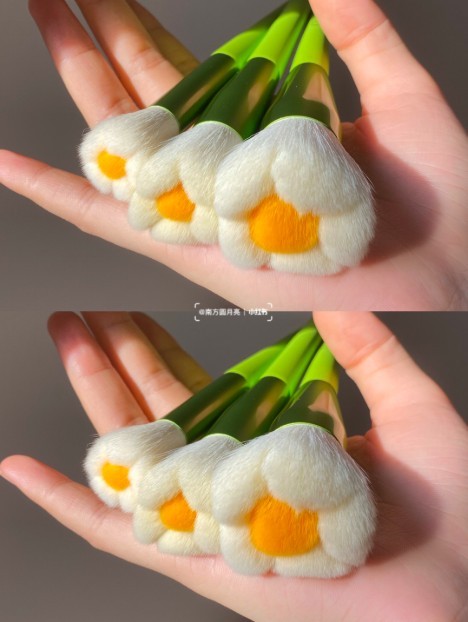 小紅書＠南方圓月亮