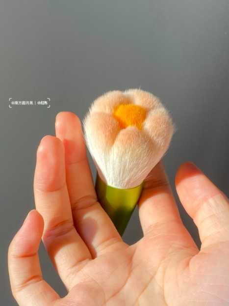 小紅書＠南方圓月亮