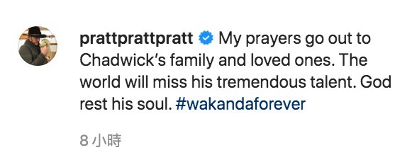 IG@prattprattpratt