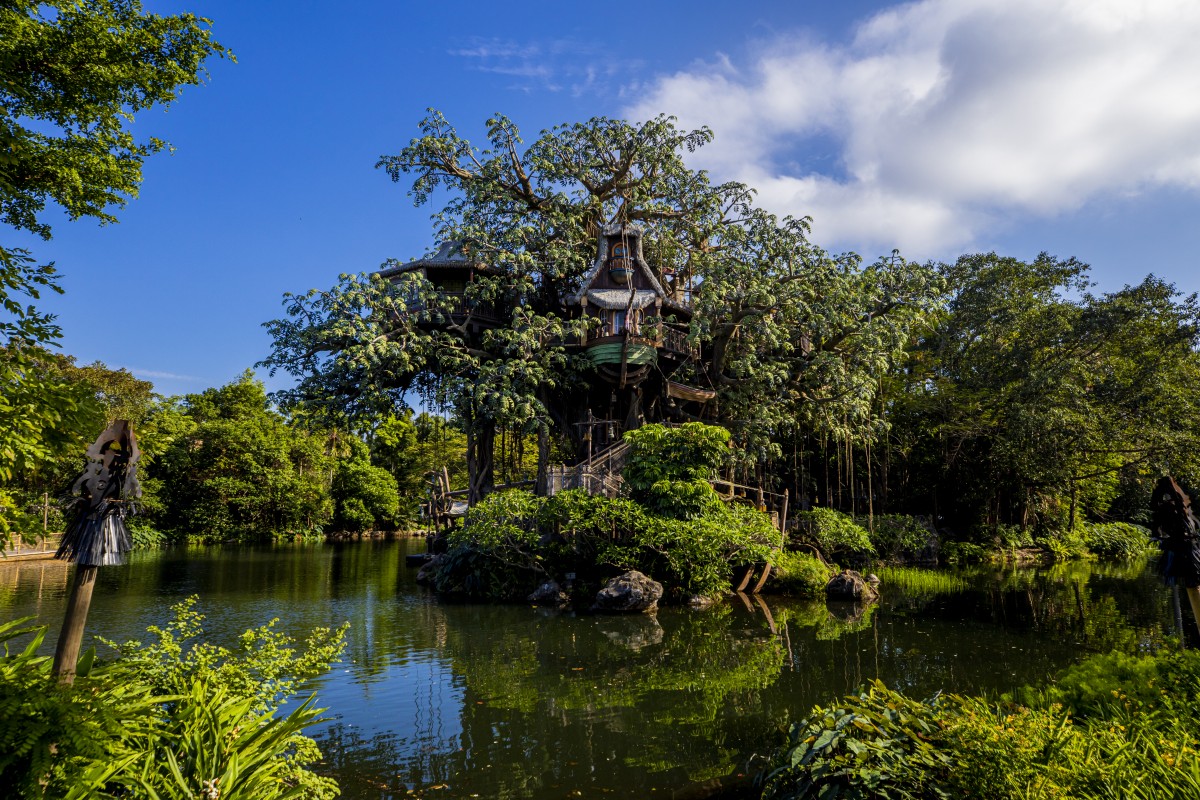 01 白天一片青綠的「泰山樹屋」美景