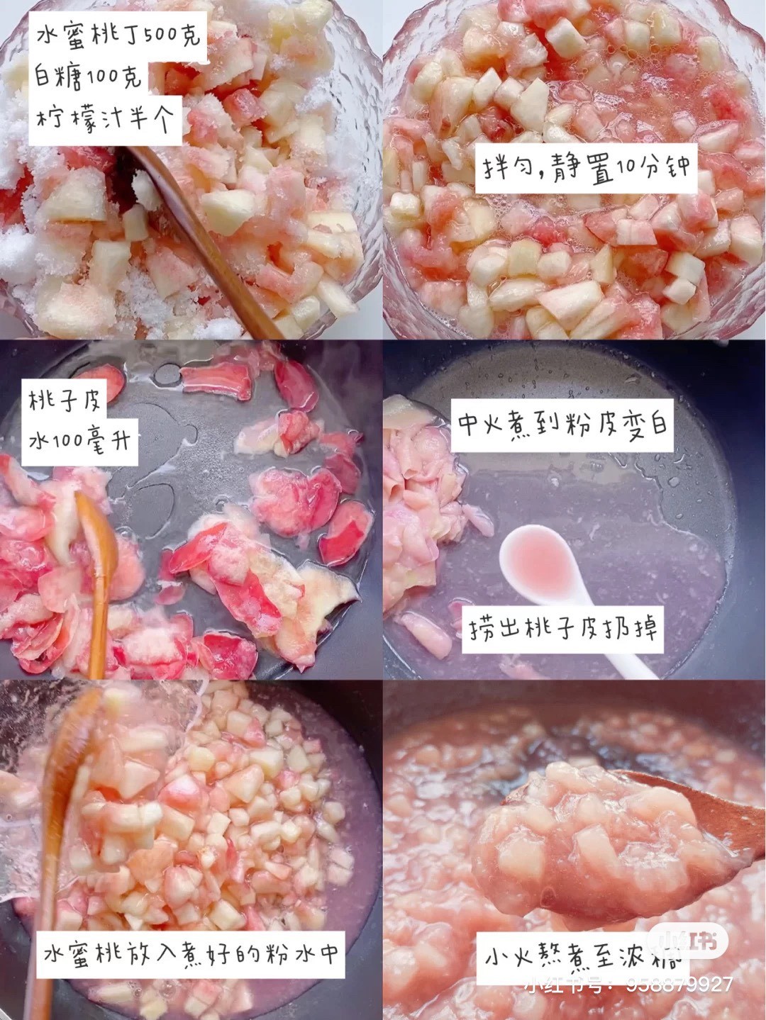 小紅書@盆栽小姐