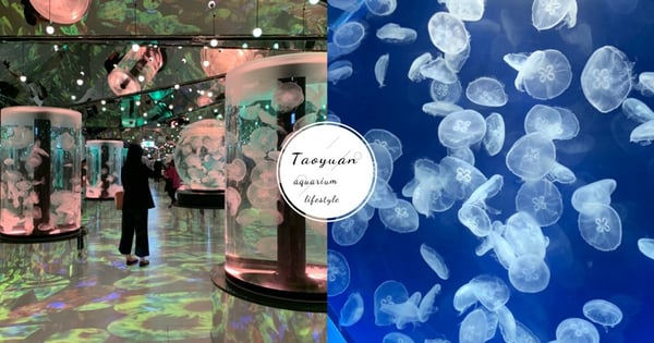 【桃園水族館】Xpark、新光影城、和逸飯店3大必去亮點懶人包!票價、交通攻略全收錄~