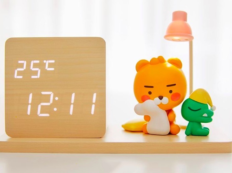 kakaofriends official