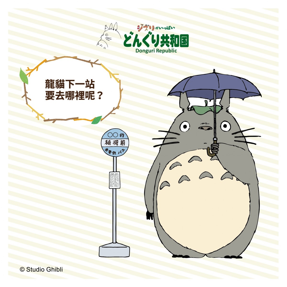 橡子共和國