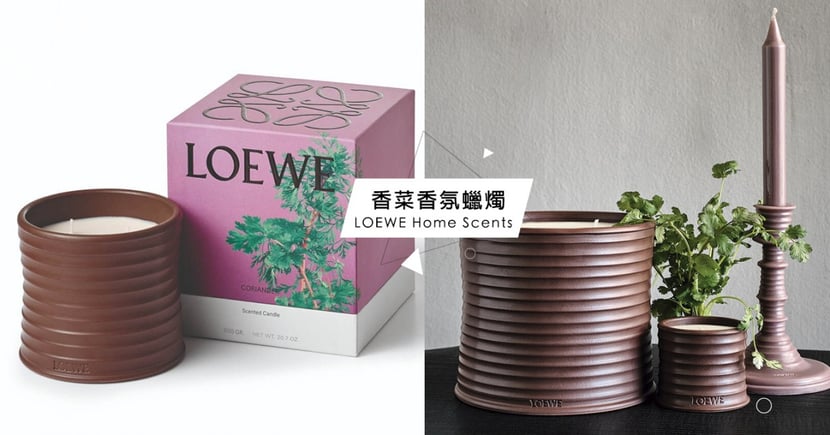 Loewe 香菜蠟燭 引熱議 超特殊11款 植物居家香氛 妳愛哪一味 Girlstyle 台灣女生日常