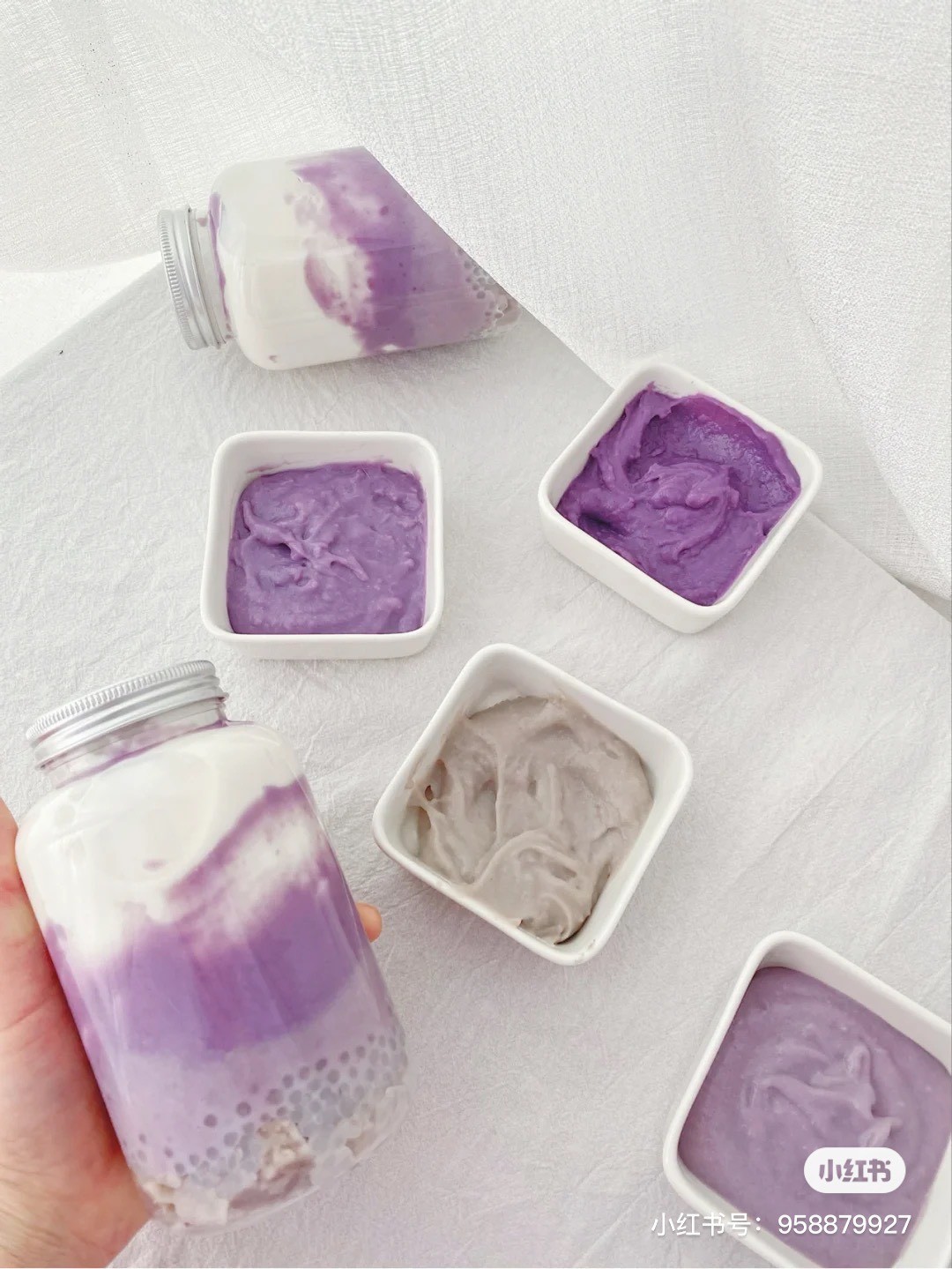 小紅書@盆栽小姐