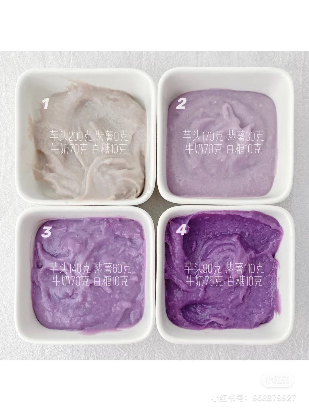 小紅書@盆栽小姐