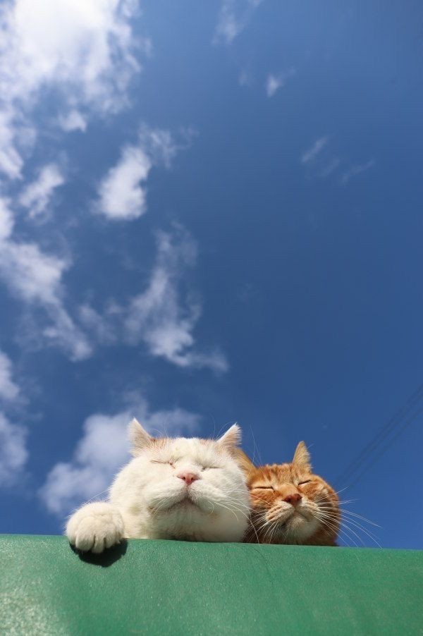 0eed1ea9-70b7-4eba-a887-bf2fc13dac03